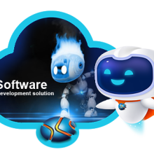 software development solution